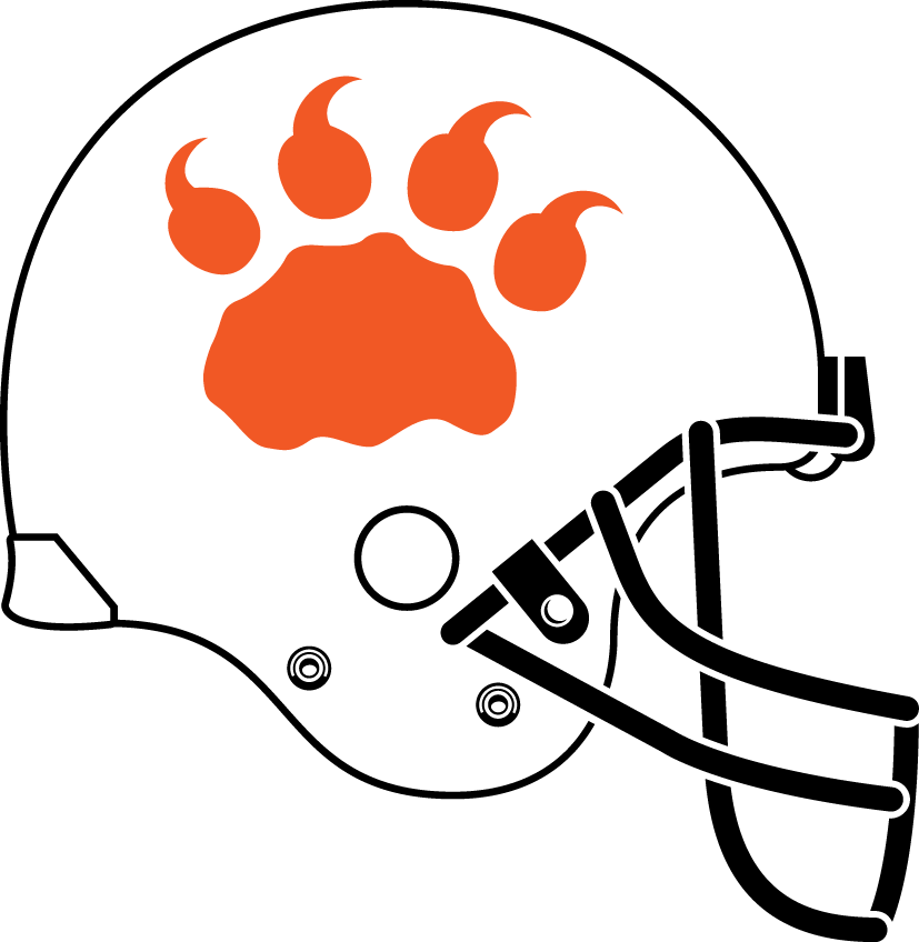 bc lions 2012 helmet logo iron on transfers for clothing